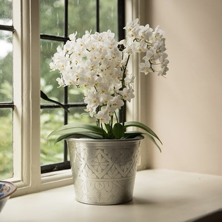 Hand etched aluminium planter