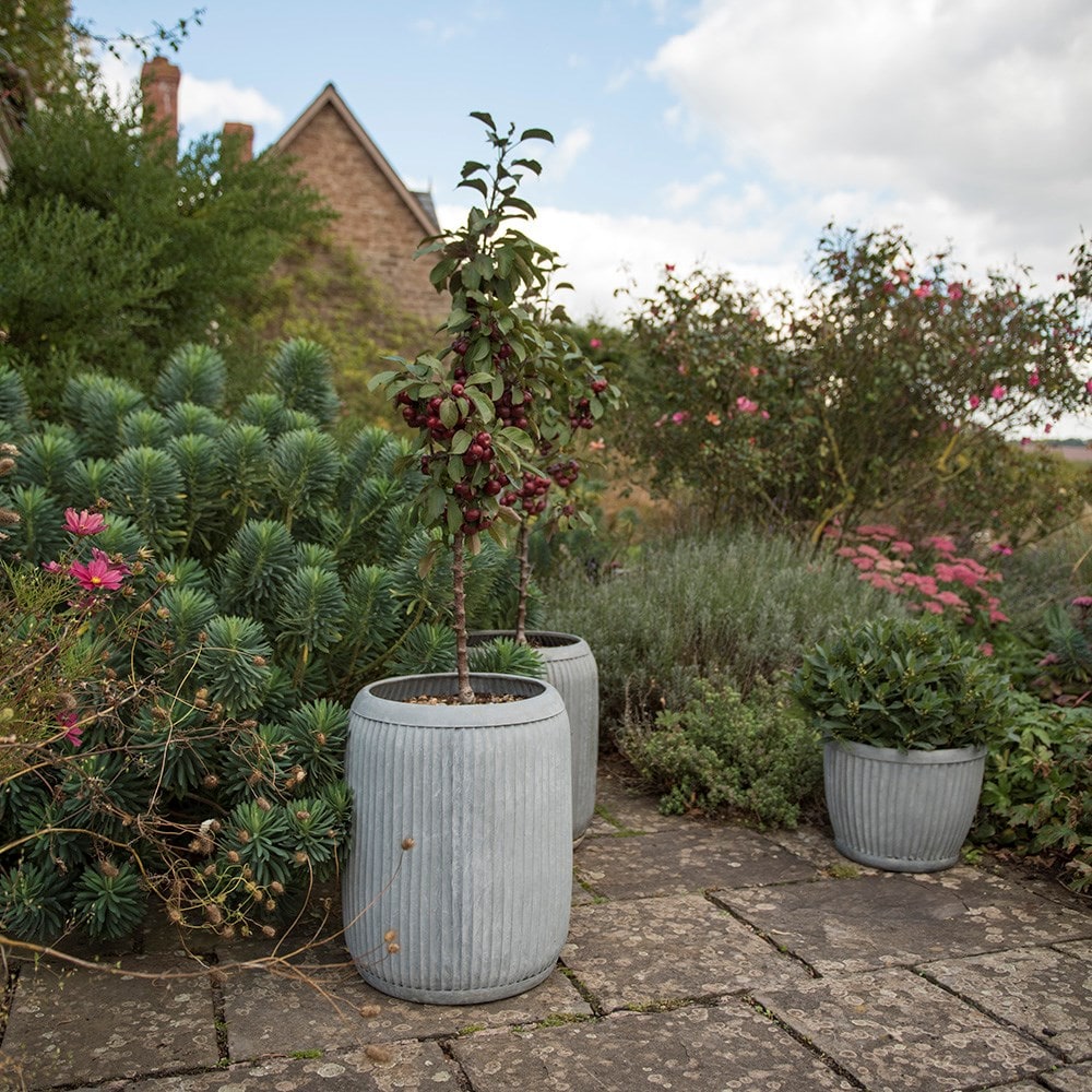Zinc dolly tub planter