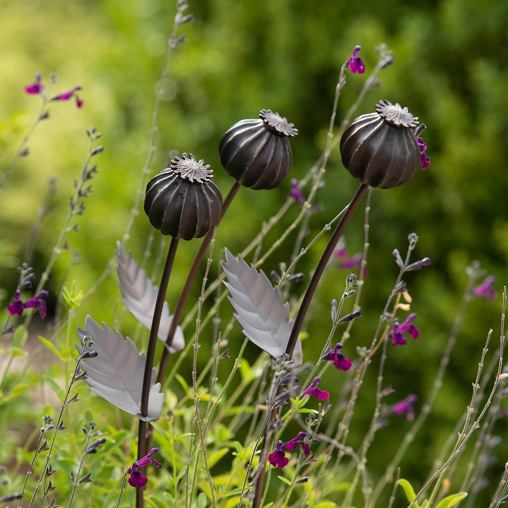 Product options image