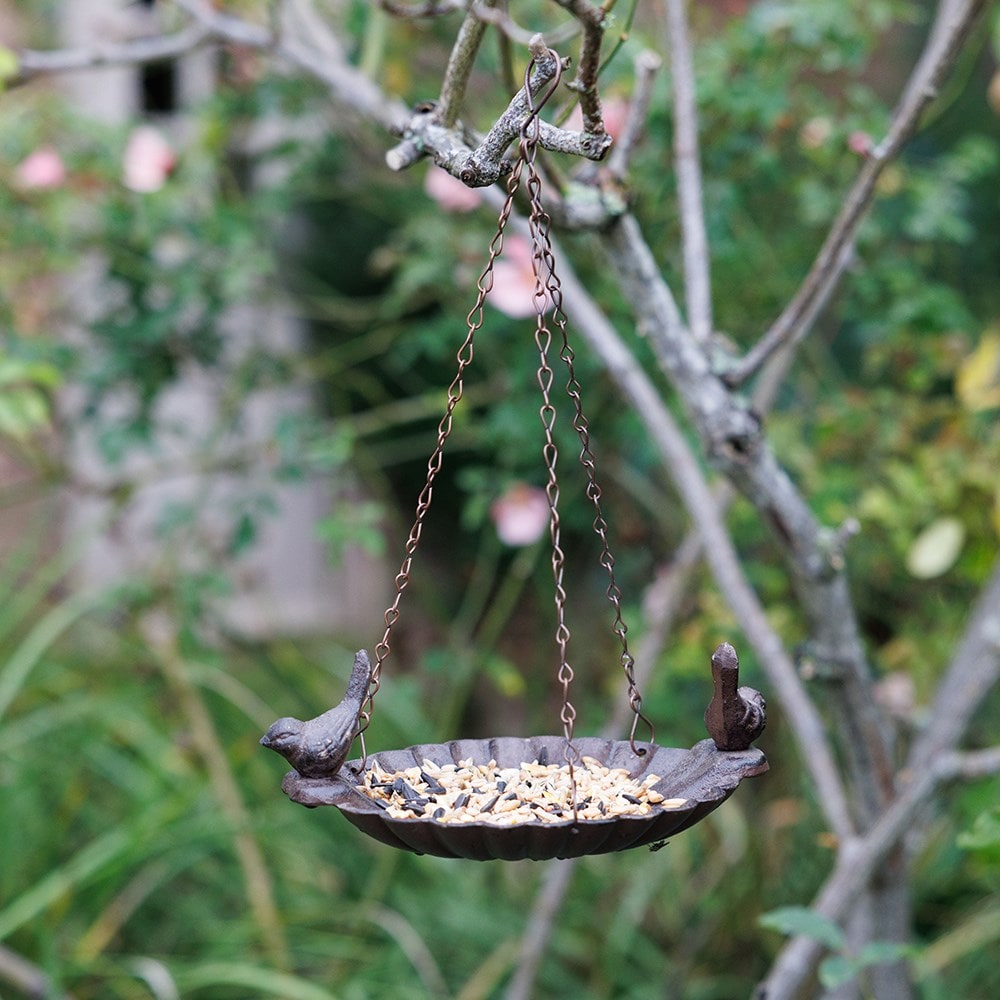 Hanging bird bath with birds