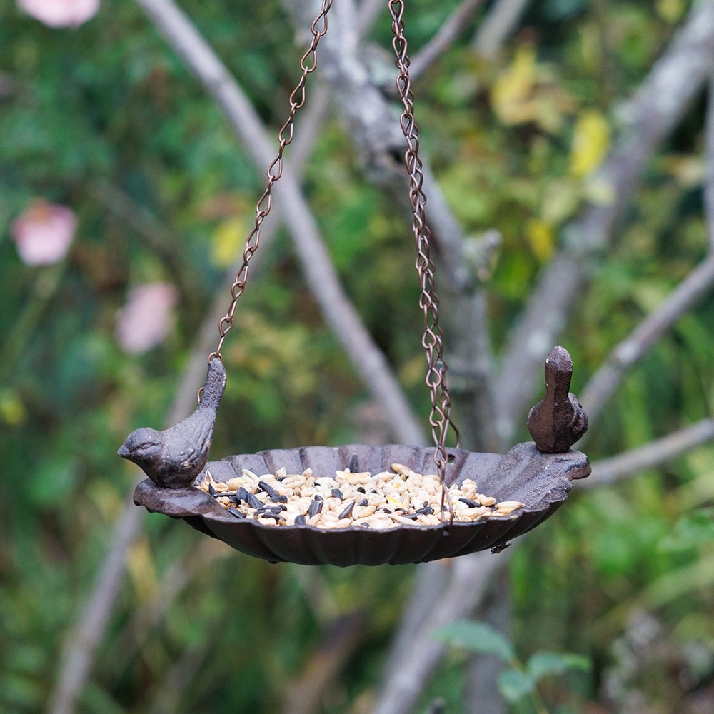 Hanging bird bath with birds