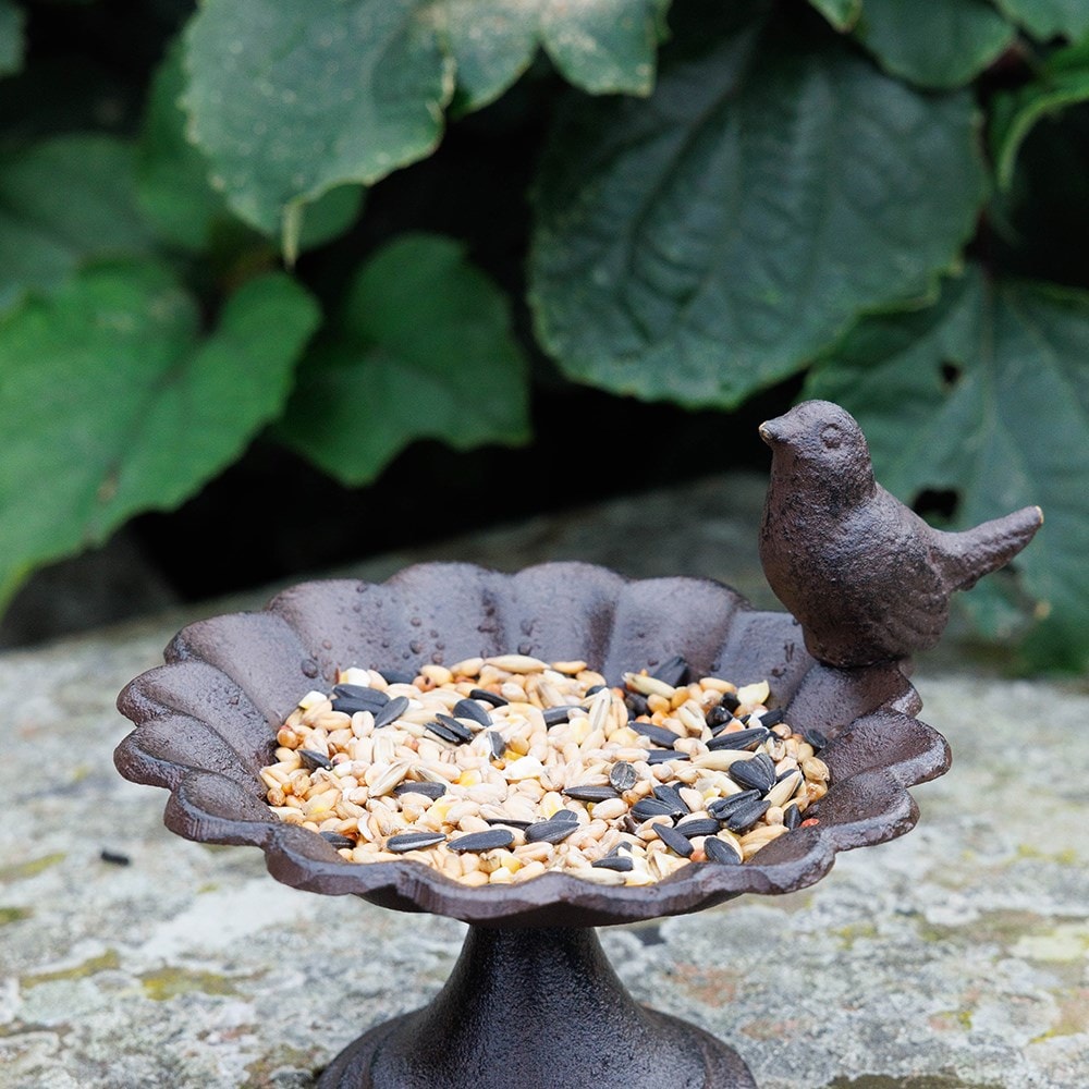 Bird bath with bird