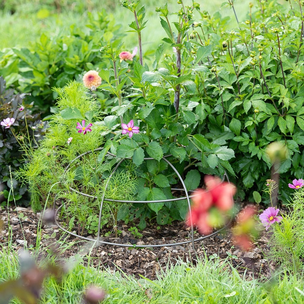 Product options image