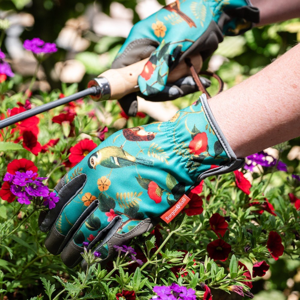 Product options image