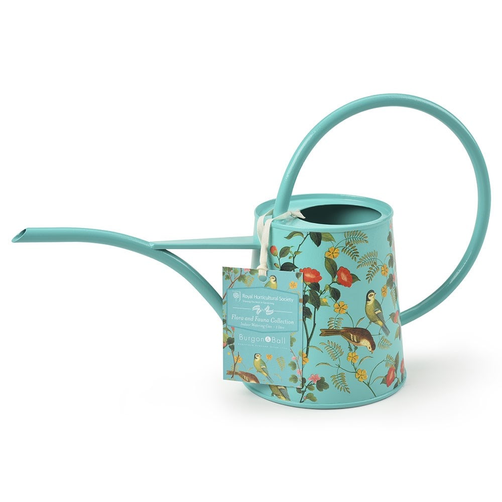 Product options image