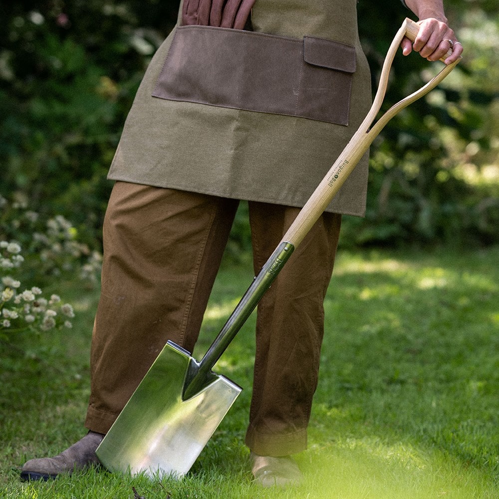 Product options image