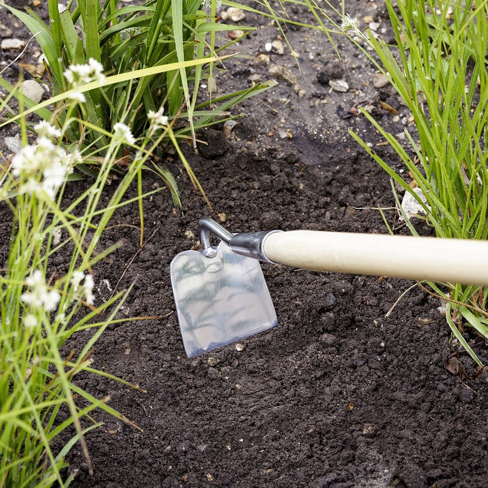 Product options image