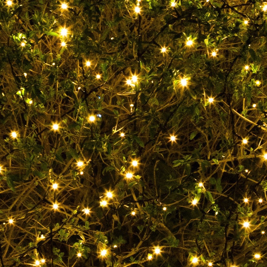 Product options image