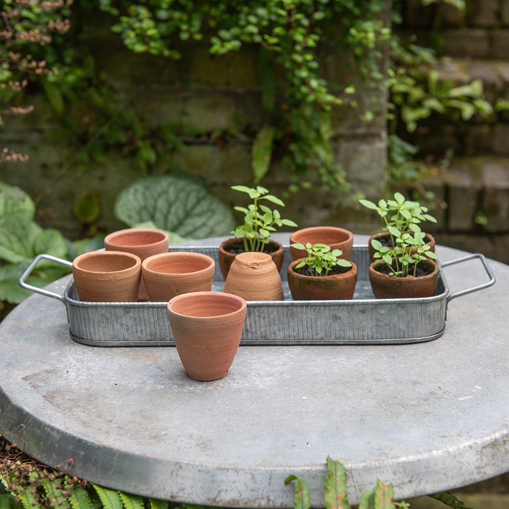 Terracotta grow pots - set of 10 with tray