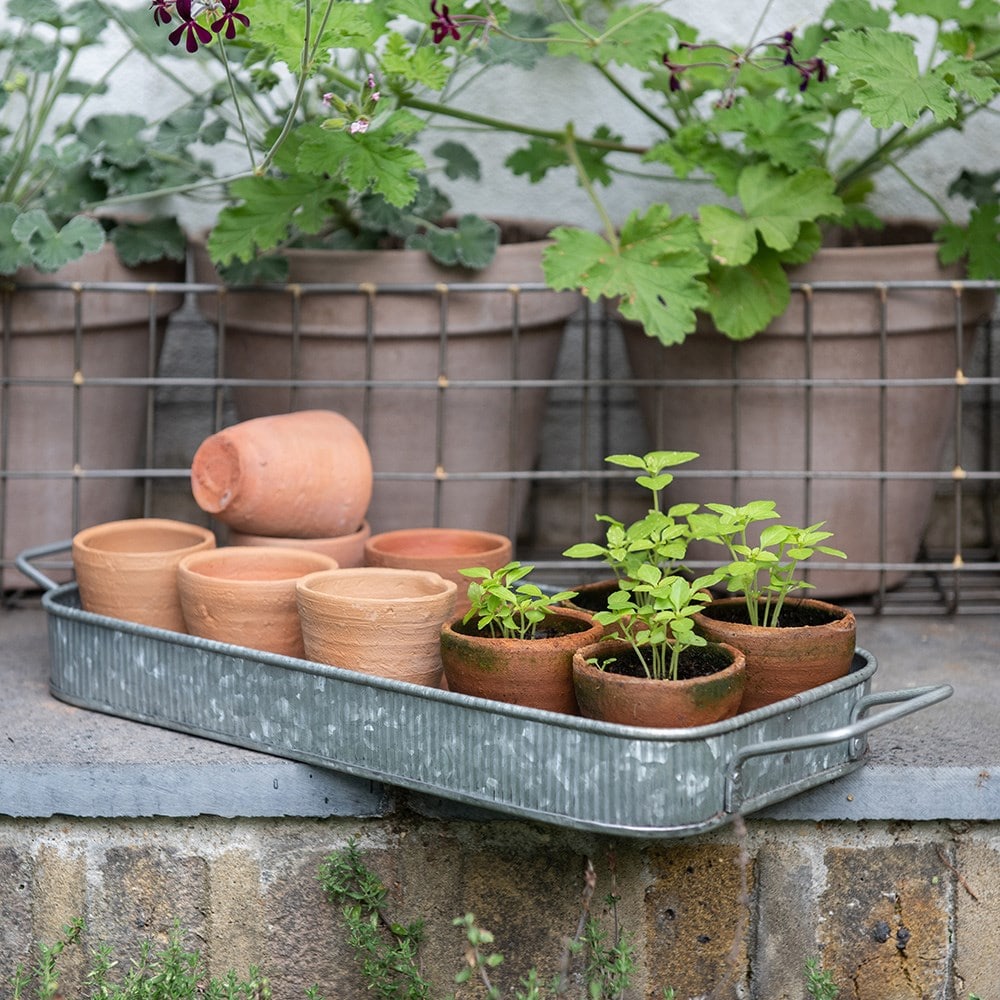 Terracotta grow pots - set of 10 with tray