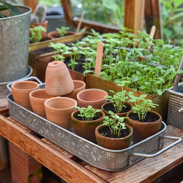 Terracotta grow pots - set of 10 with galvanised metal tray