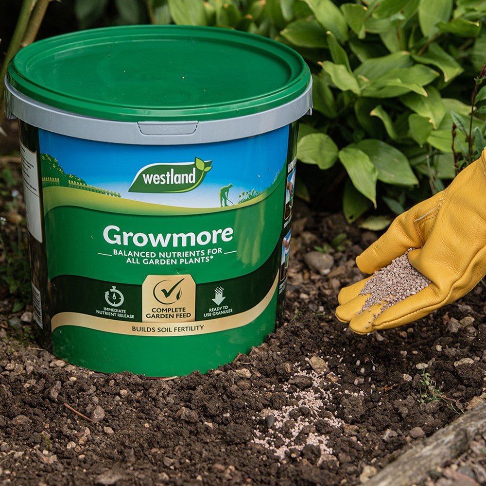 Product options image