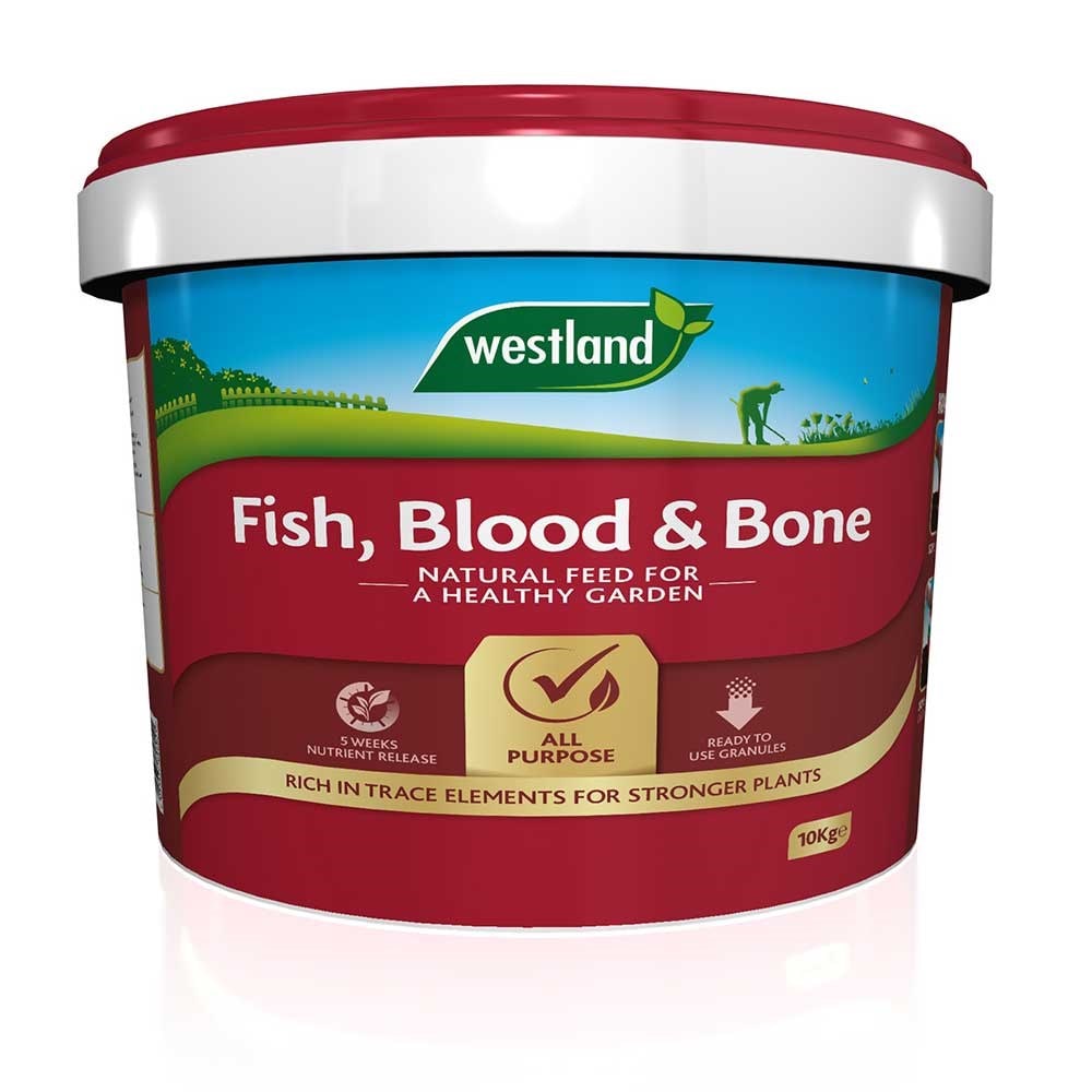 Can You Dilute Fish Blood And Bone