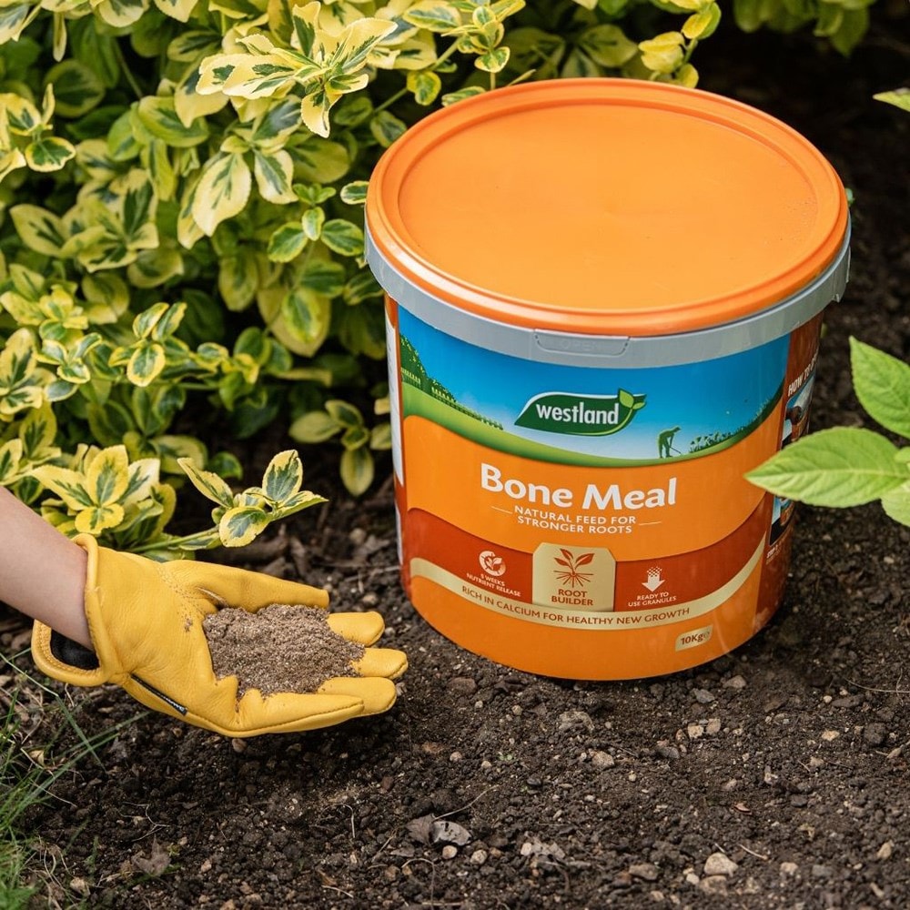 Product options image