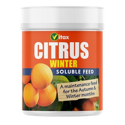 Vitax winter citrus feed