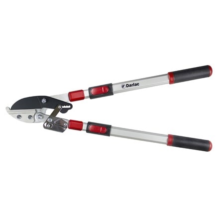 Picture of Darlac telescopic ratchet lopper