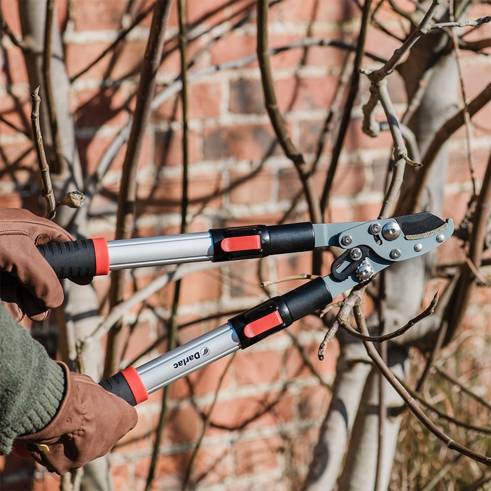 Product options image