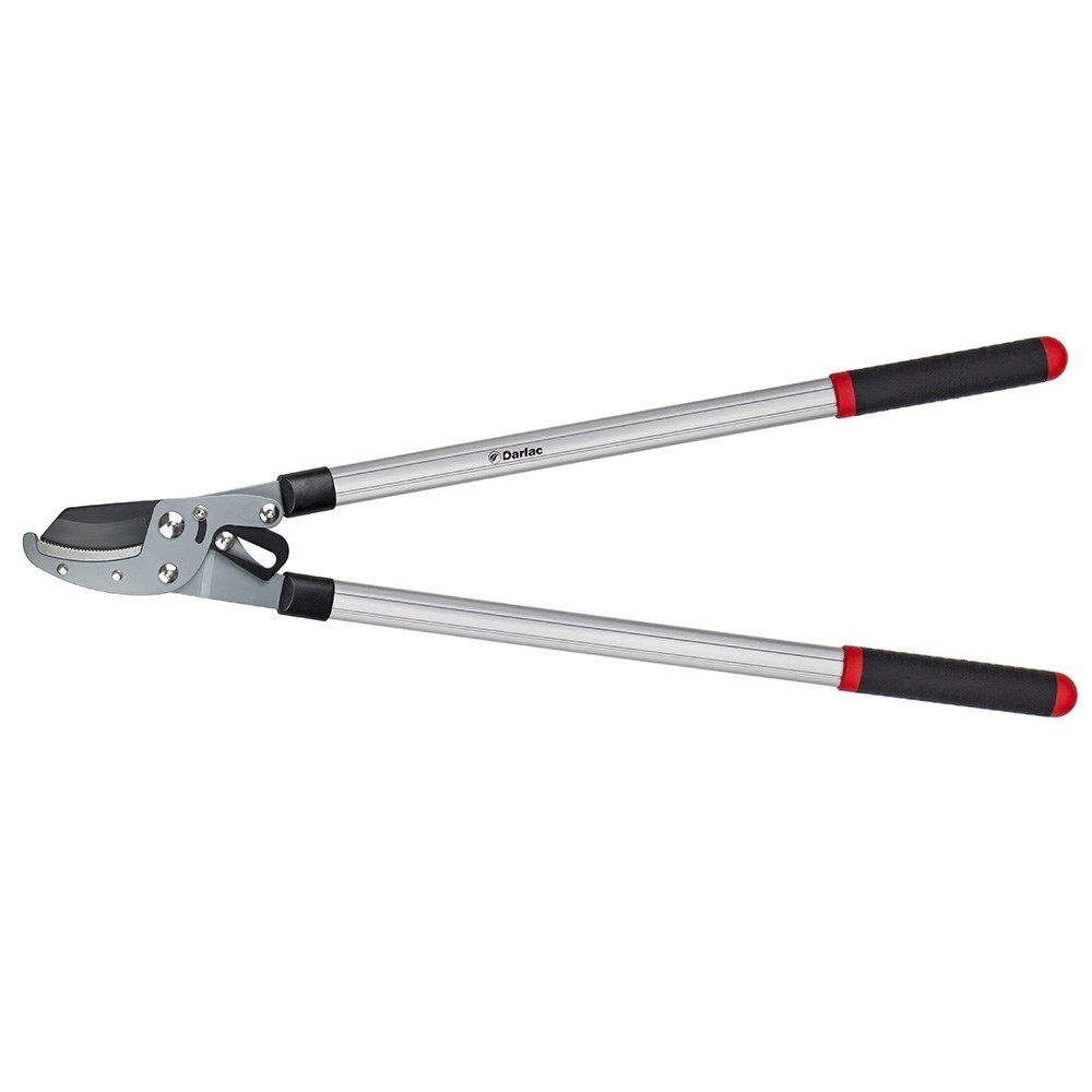 Verve 2024 compound loppers