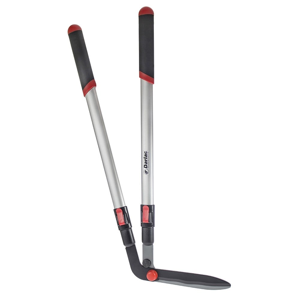 Product options image