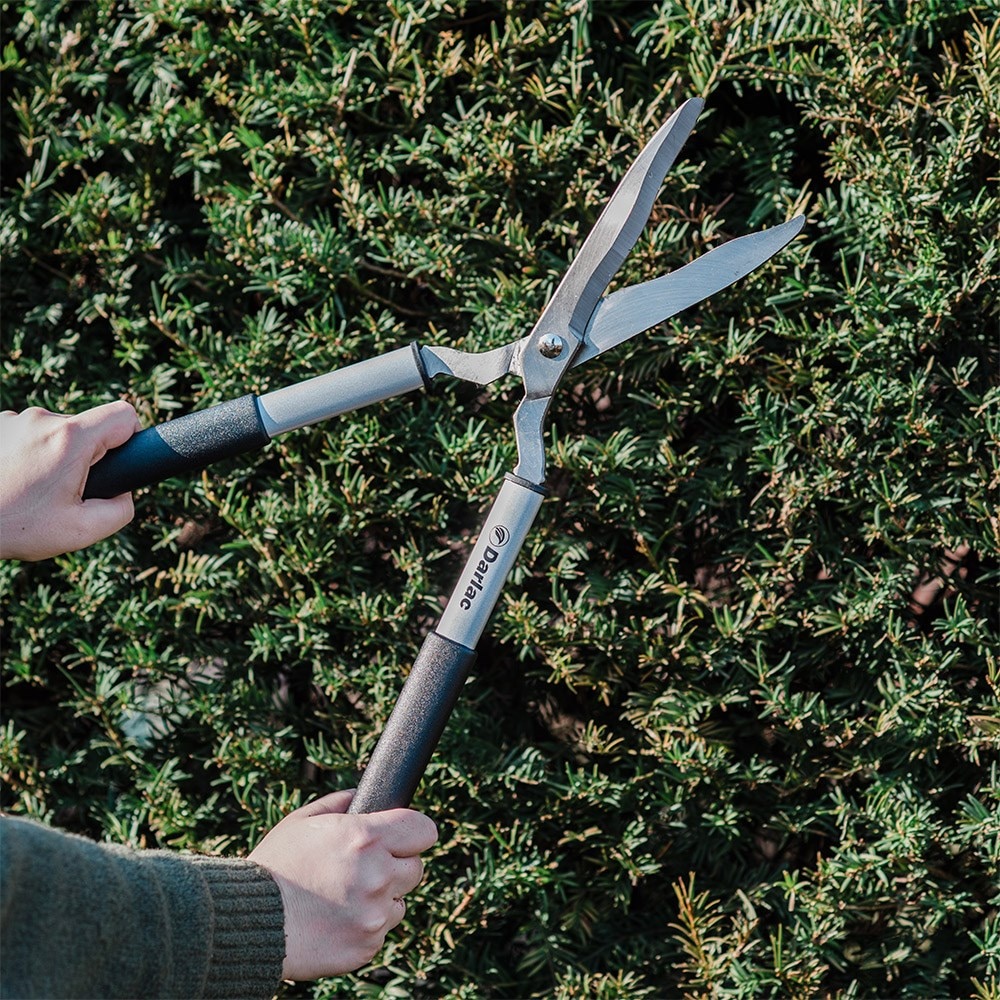 Darlac lightweight ladies shears