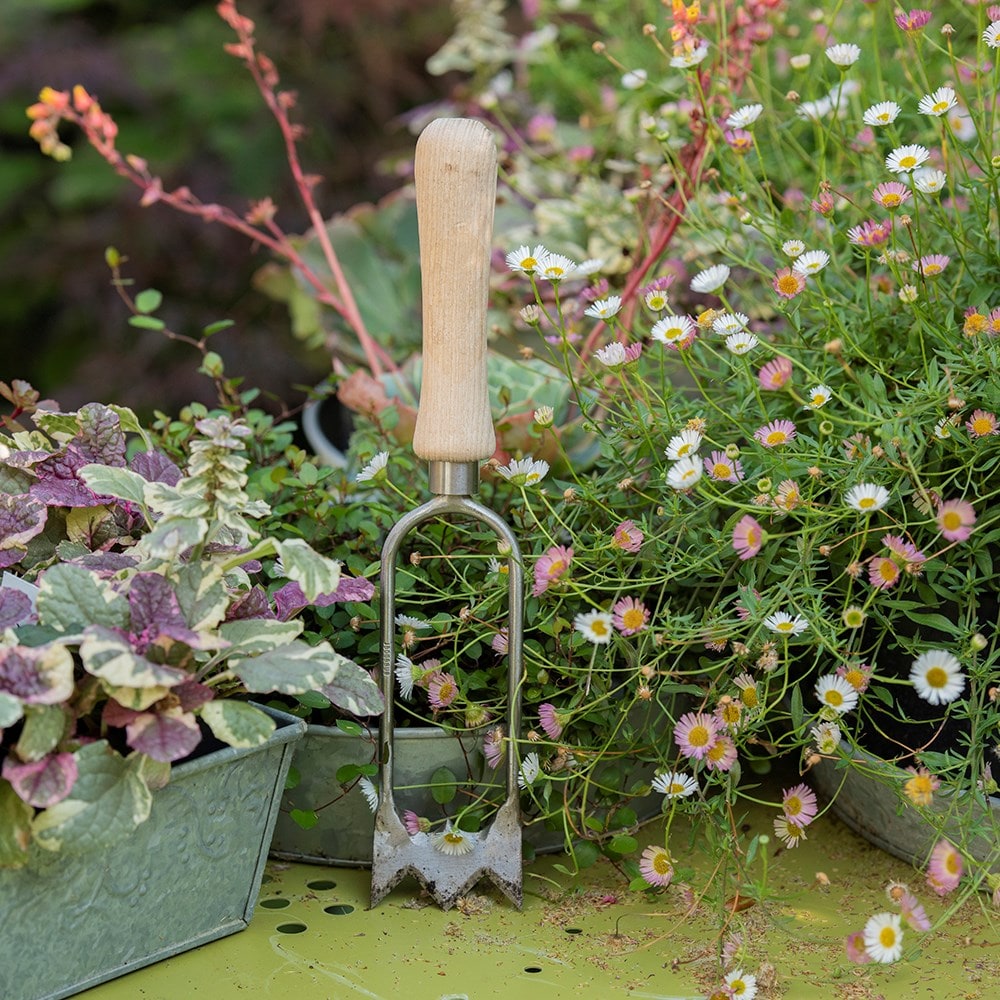 Product options image