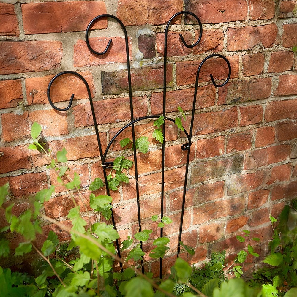 Product options image