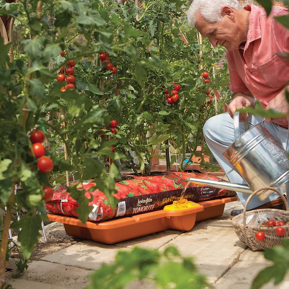 Hozelock growbag waterer 
