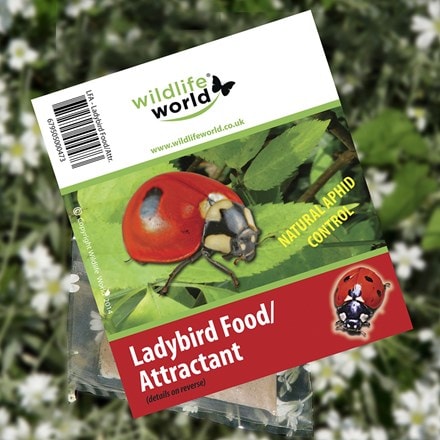 Ladybird food and attractant