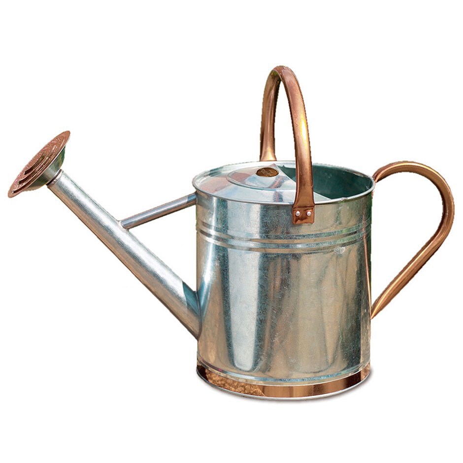 Buy Metal Watering Can Copper Trim Delivery By Crocus
