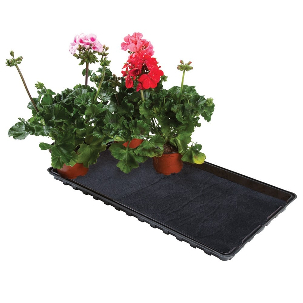 Watering gravel tray with capillary matting