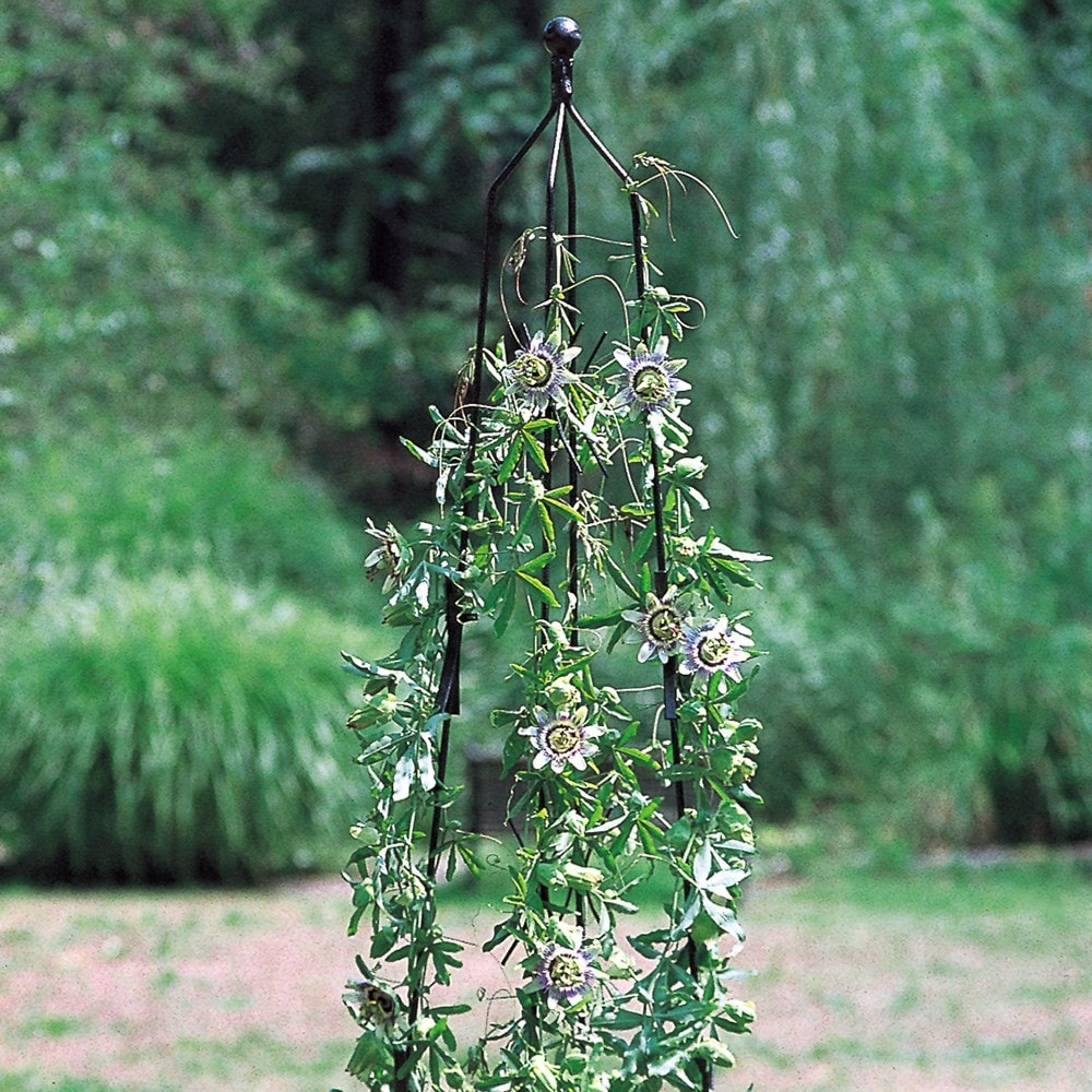 Classic climbing column - black