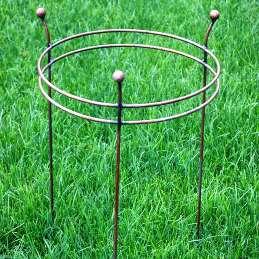 Buy Double Ring Plant Support