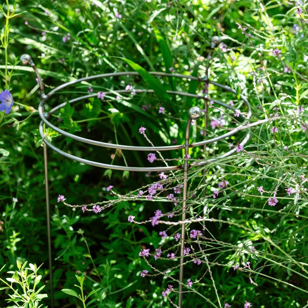 Product options image