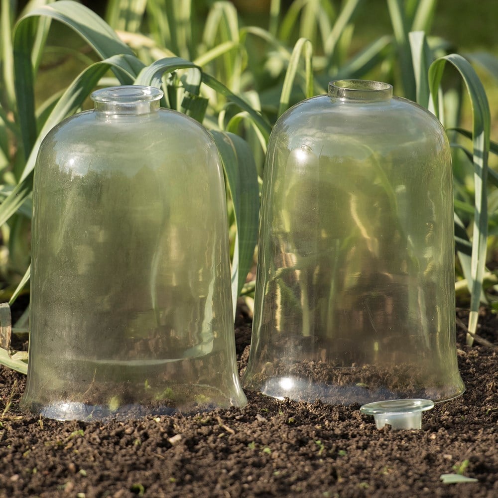 Product options image