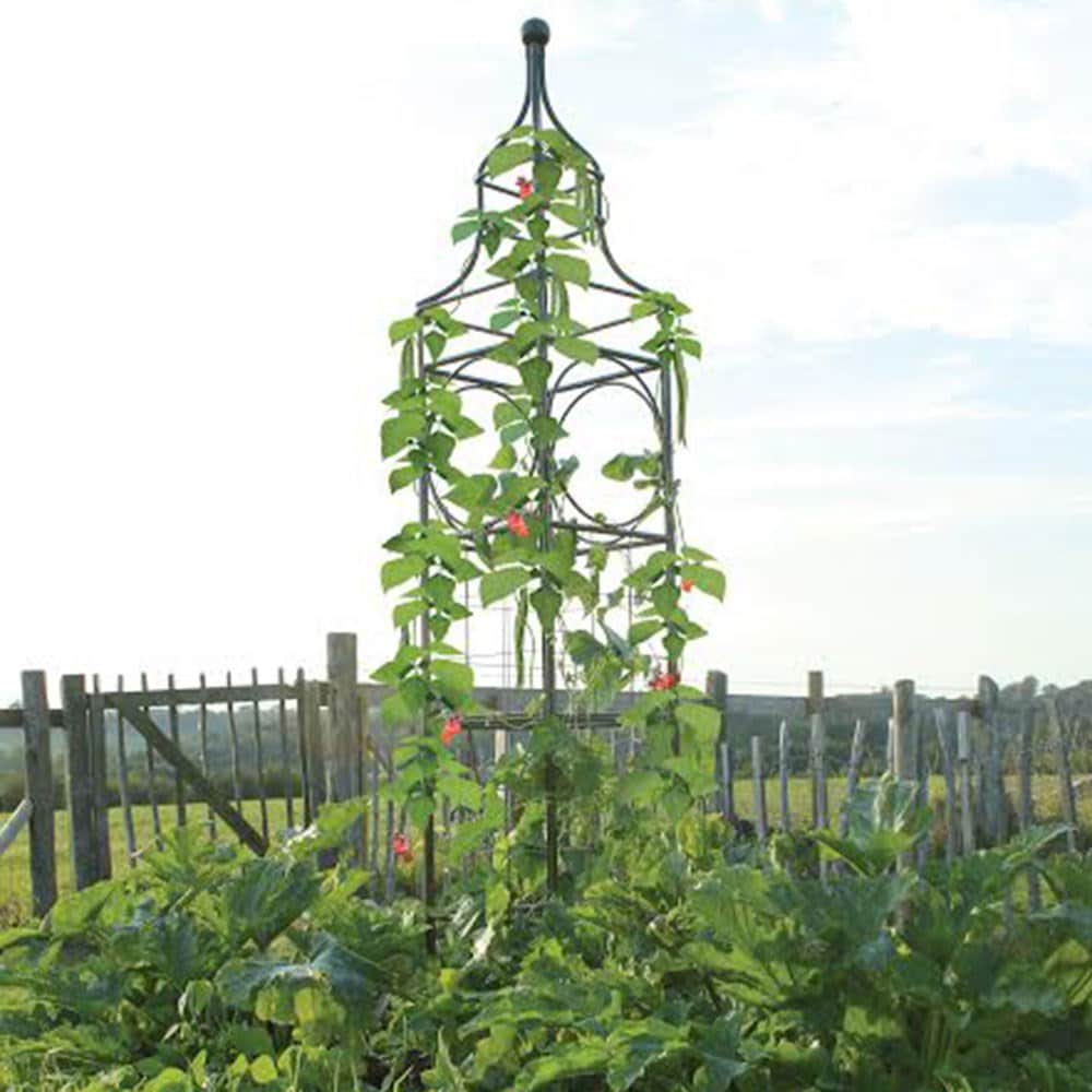 Product options image