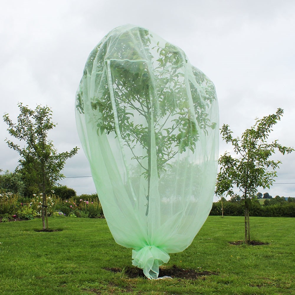 Product options image