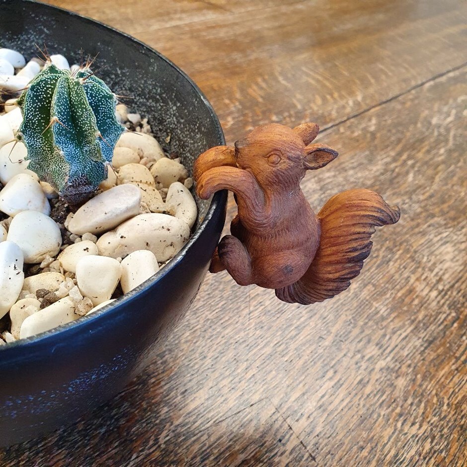 buy pothanger squirrel buy pothanger squirrel