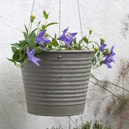 Hanging aged ribbed planter
