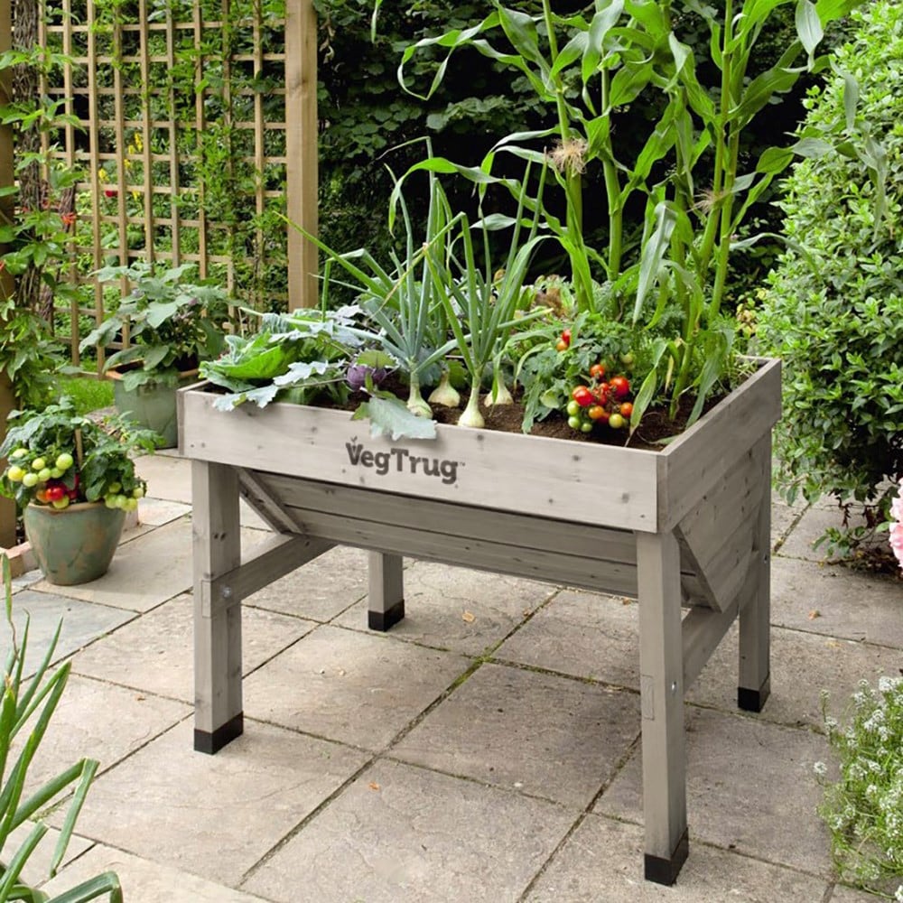 VegTrug classic small - grey