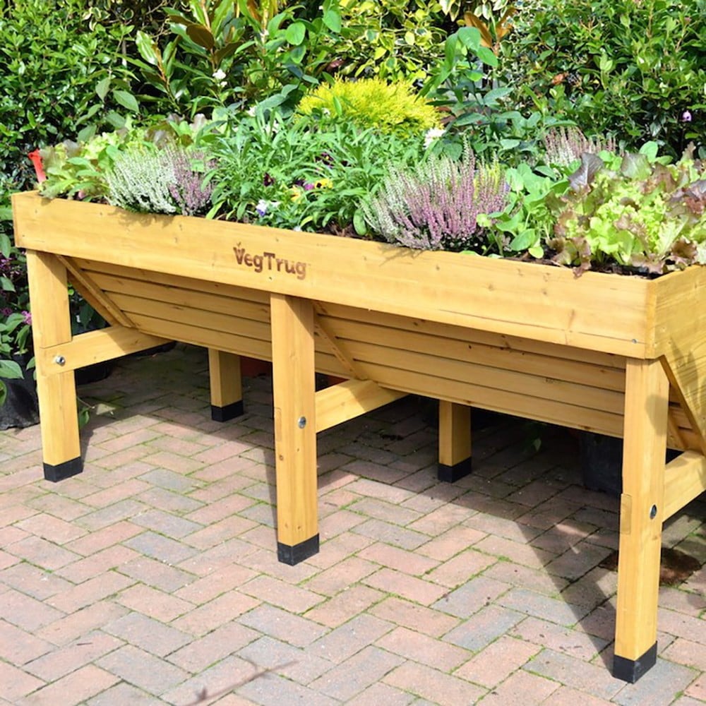 VegTrug classic medium 