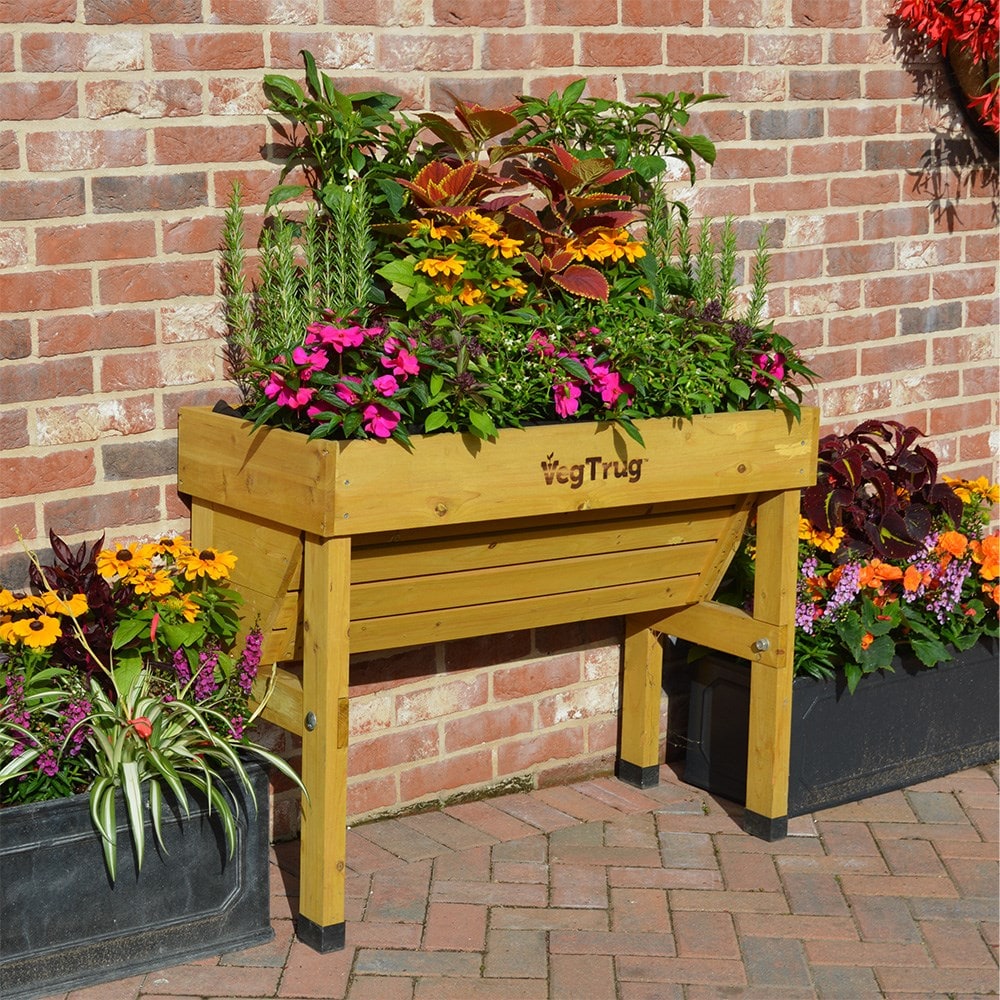 VegTrug wallhugger small