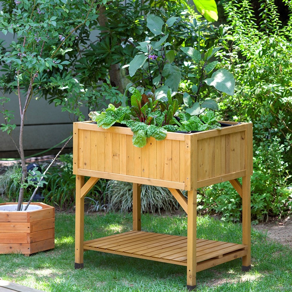 RHS VegTrug raised bed planter