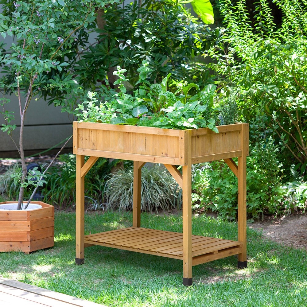 VegTrug herb garden 
