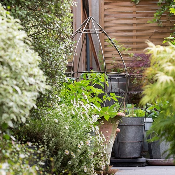 Tear drop plant support - antique zinc