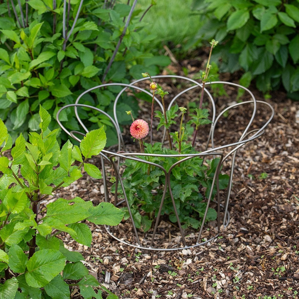 Bulb/peony support - pewter