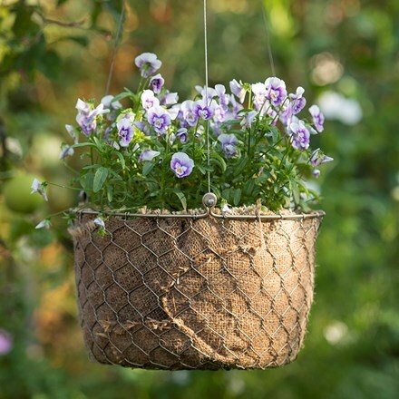 27+ Large Wire Hanging Baskets For Plants