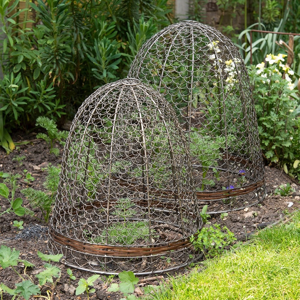 Product options image