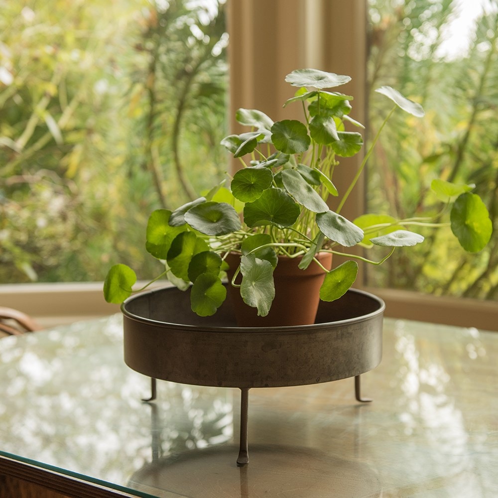 Product options image