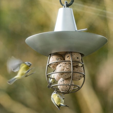Buy Bird Care Wildlife Delivery By Waitrose Garden In