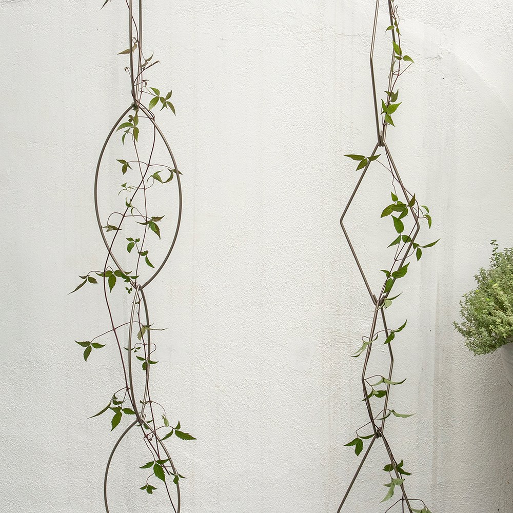 Product options image